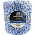 All-Source 0.094 In. x 8500 Ft. Blue & White Polypropylene Tying Twine 764302